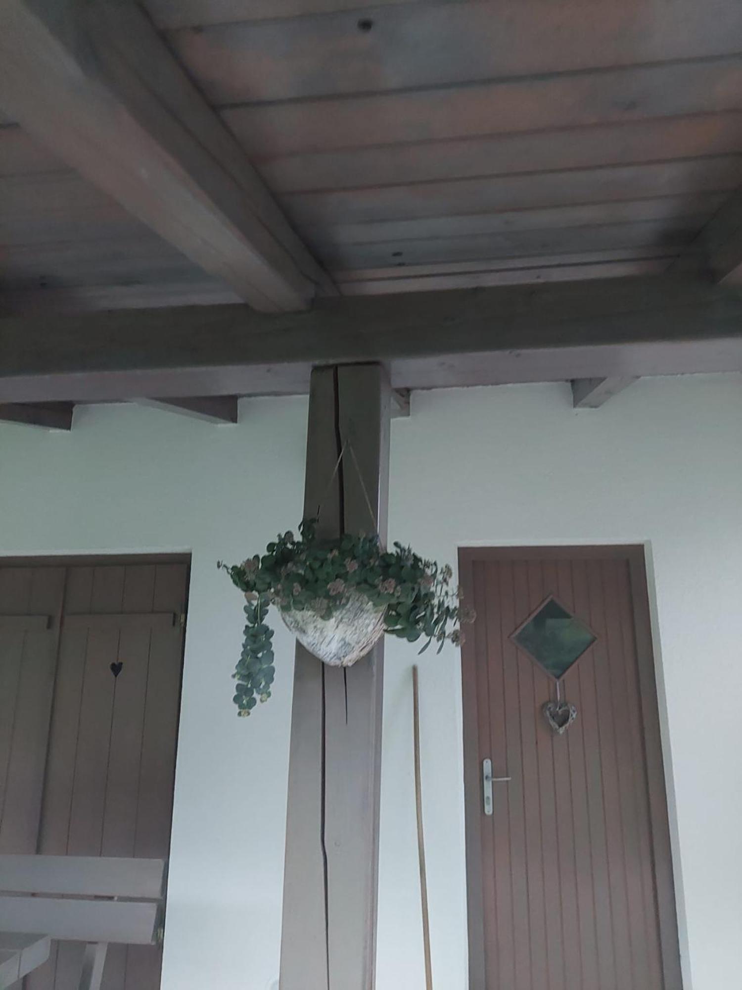 Vineyard Cottage Klemencic Novo Mesto Exterior photo