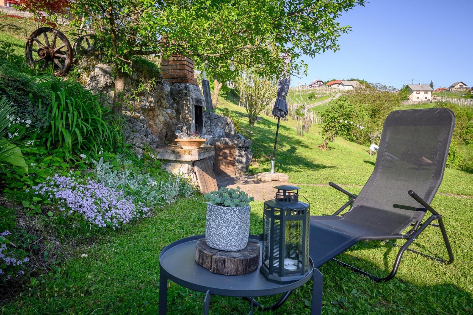 Vineyard Cottage Klemencic Novo Mesto Exterior photo